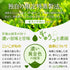 限量特蒸Koikogane茶葉100g新茶2023